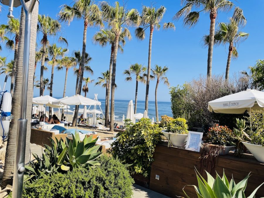 Beach club under swaying palms and white sun umbrellas.