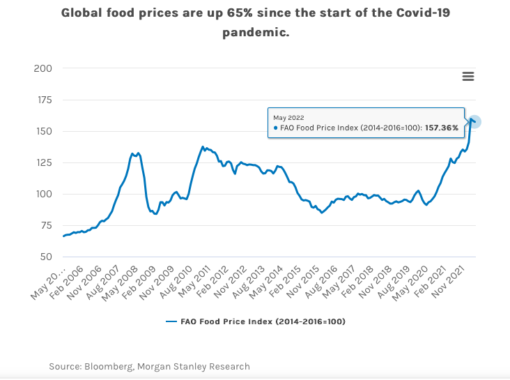 Graph showing food prices from 2006 to May 2022, with  huge spikes this year. 