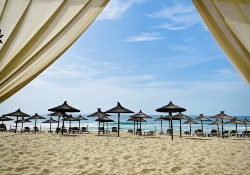 View of sundeck lounges under sunshades on beach. 