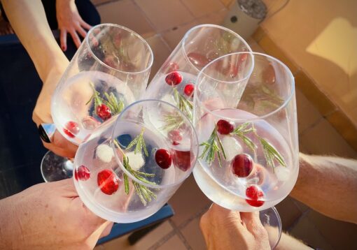 Toast of 4 glasses of gin tonic with rosemary and cranberries garnishes. 