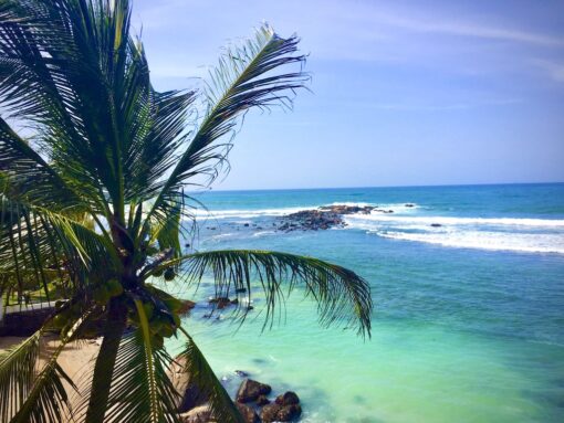 Waves in turquoise water on a tropical beach with a coconut tree in the foreground. 