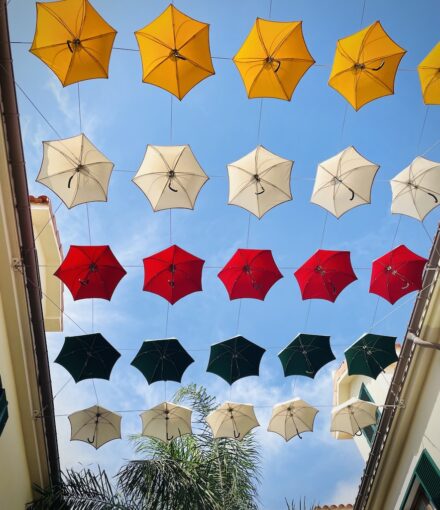 Colourful umbrella canopy across a street.