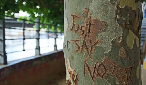 "Just say no" carving on tree trunk.