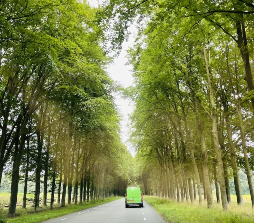 Lime green mini van along tree-lined road.