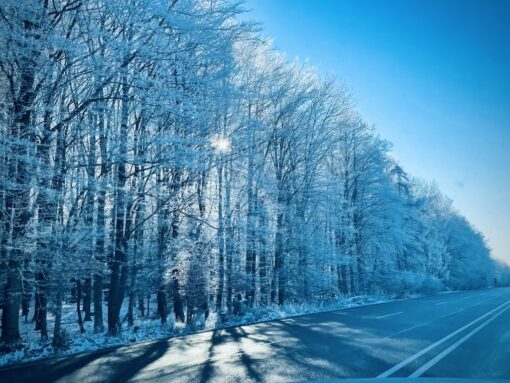 Stretch of road on a sunny wintry day.