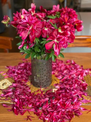 Red peonies shedding  a circle of petals on a table.  