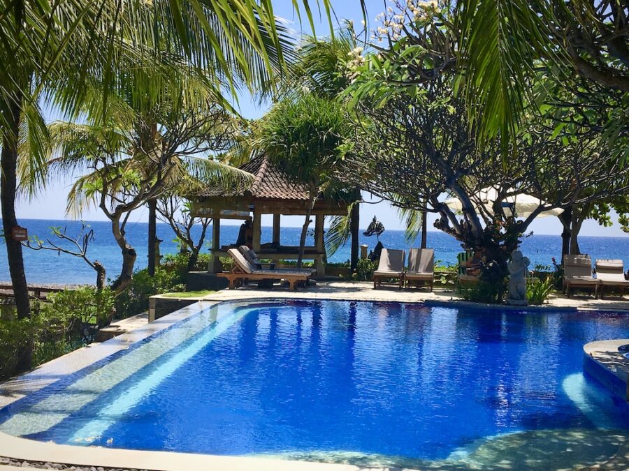 Tranquil pool under mature shady trees with ocean as backdrop.