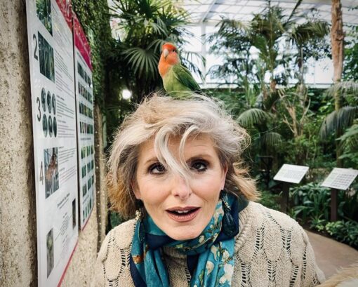 Parrot atop a woman's head.