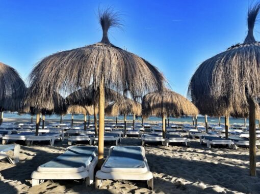 Straw umbrellas next to neatly arranged sun-deck lounges on a beach. 