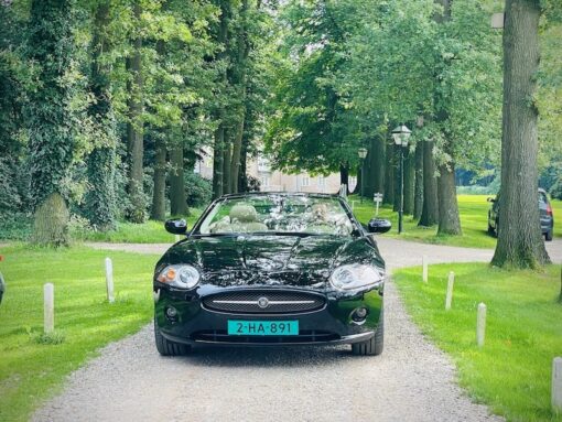 An open-top black Jaguar convertible driving towards the camera in a wooded lane framed with mature trees.