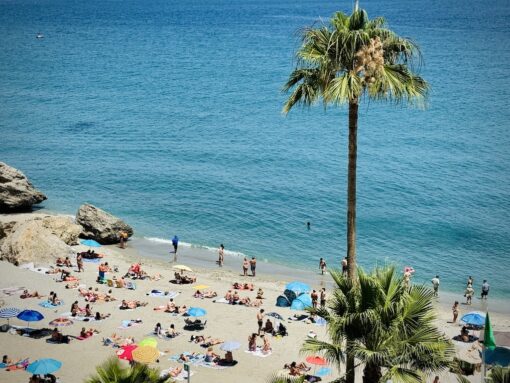 Sunbathers on a stretch of beach in front of turquoise waters and a singel tall palm tree.