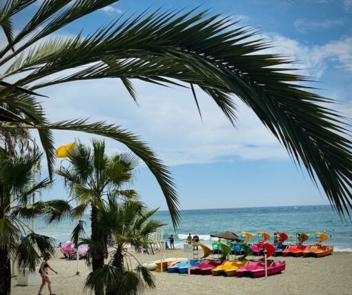 Colourful motorboats lined up in coconut fringed beach.