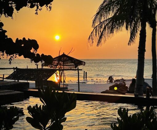 Beach club with sun umbrella and coconut trees silhouetted against a golden sunset.