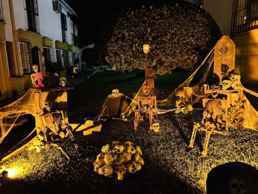 Various display of skeletons and skulls in a garden spookily lit. 