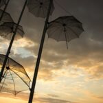 Several open umbrellas hanging at dusk.