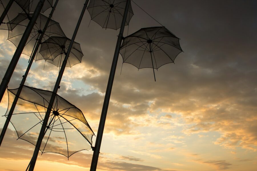 Several open umbrellas hanging at dusk.