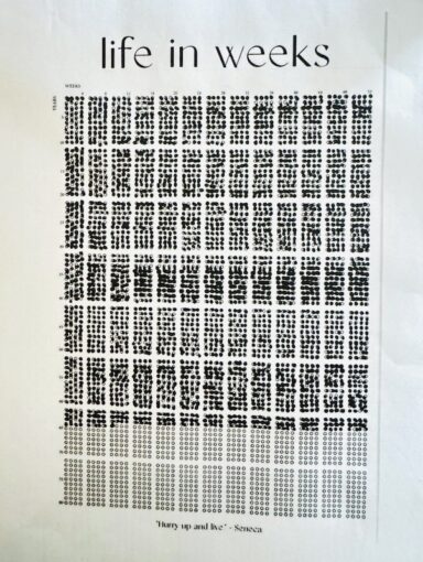 Page showing 8 neat rows of 12 boxes signifying our healthy years. 3/4 shaded showing time past and unshaded representing days to come. 